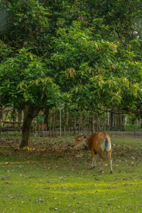 Lendang Eco Lodge Senggigi Eksteriør billede