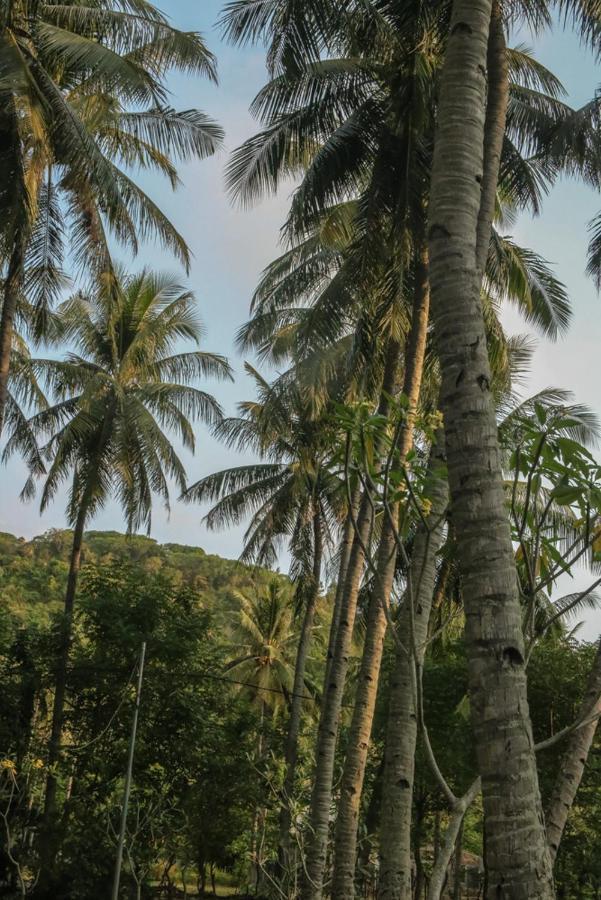 Lendang Eco Lodge Senggigi Eksteriør billede