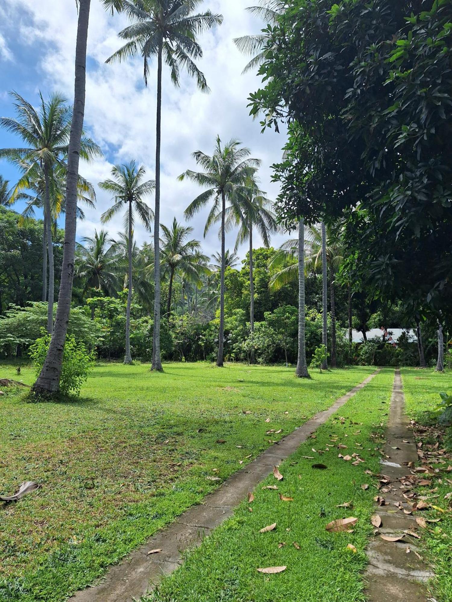 Lendang Eco Lodge Senggigi Eksteriør billede