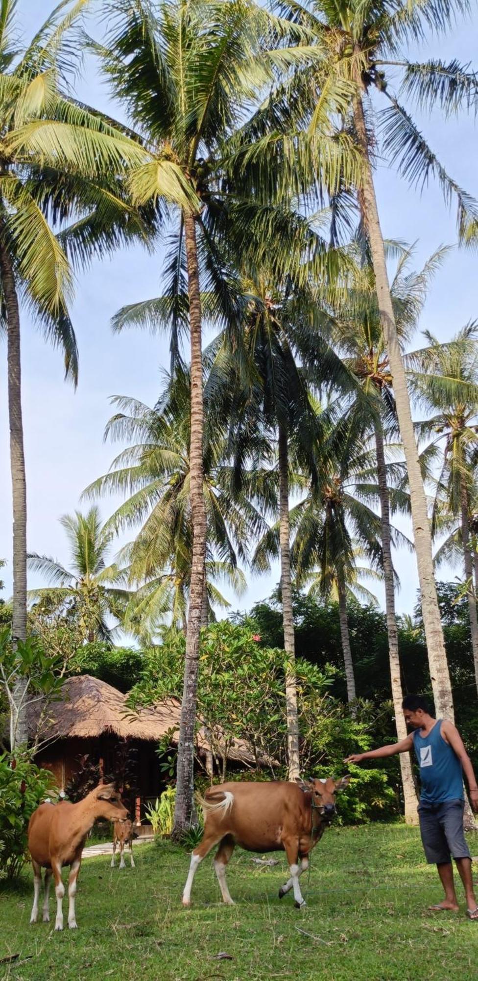 Lendang Eco Lodge Senggigi Eksteriør billede