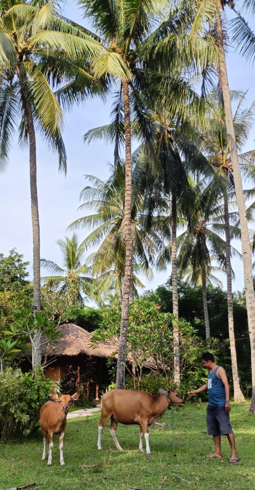 Lendang Eco Lodge Senggigi Eksteriør billede