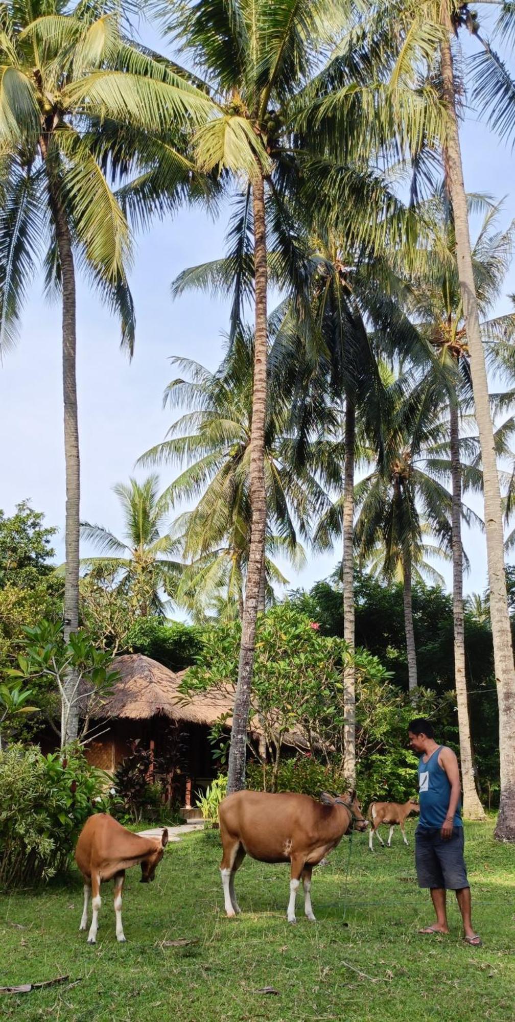 Lendang Eco Lodge Senggigi Eksteriør billede